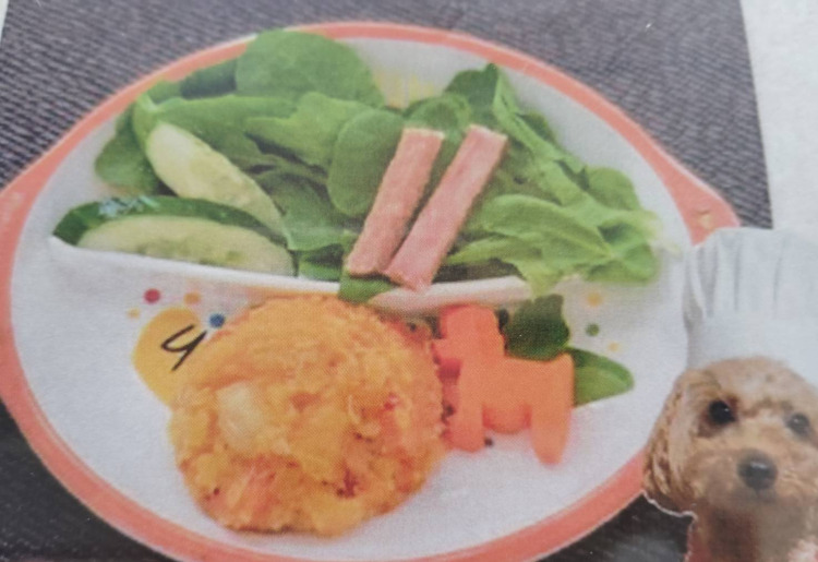 ワンコご飯